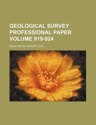 Book cover for Geological Survey Professional Paper Volume 919-924