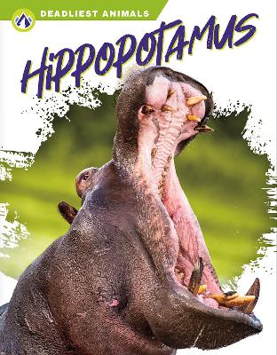 Book cover for Hippopotamus