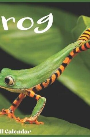 Cover of Frog 2021 Wall Calendar