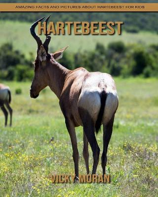 Book cover for Hartebeest