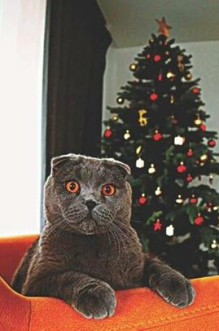 Cover of Scottish Fold Cat with Christmas Tree