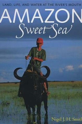 Cover of Amazon Sweet Sea