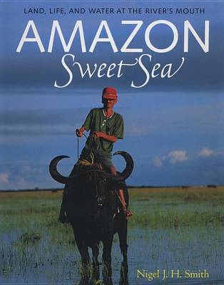 Book cover for Amazon Sweet Sea