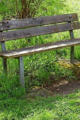 Book cover for Cool Bench in a Denver, Colorado Park Journal