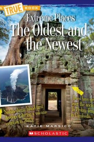 Cover of The Oldest and the Newest