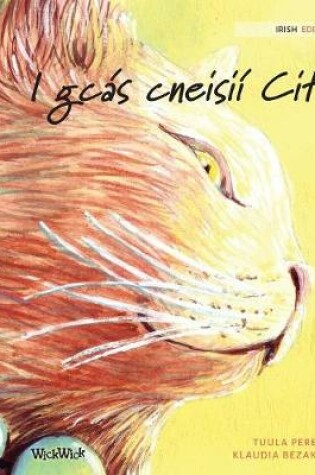 Cover of I gcás cneisií Cit