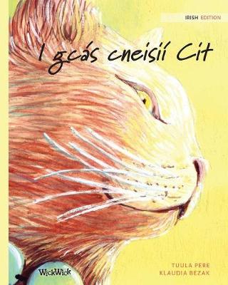 Book cover for I gcás cneisií Cit