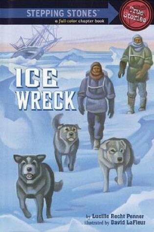 Cover of Rdread:Ice Wreck L4