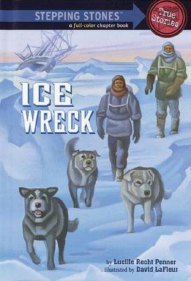 Book cover for Rdread:Ice Wreck L4