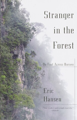 Book cover for Stranger in the Forest