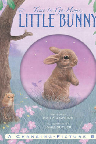 Cover of Time to Go Home Little Bunny