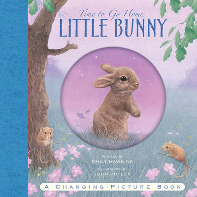 Book cover for Time to Go Home Little Bunny