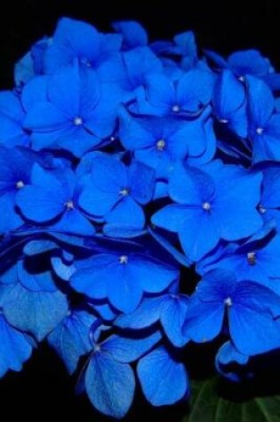 Cover of Magnificent Nikko Blue Mophead Hydrangea Journal