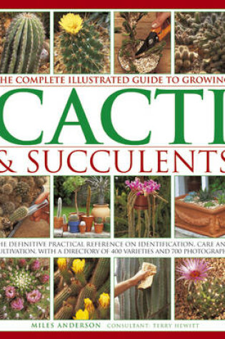 Cover of Complete Illustrated Guide to Growing Cacti and Succulents