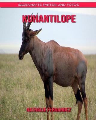 Book cover for Kuhantilope