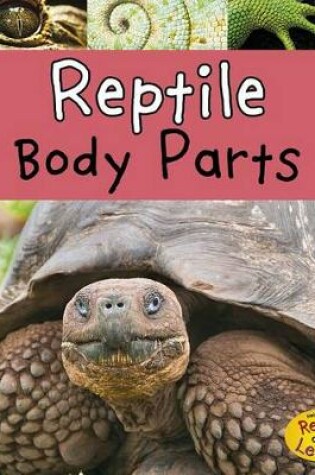 Cover of Reptile Body Parts (Animal Body Parts)
