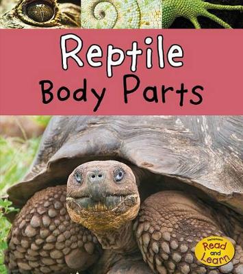 Book cover for Animal Body Parts Reptile Body Parts