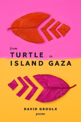 Cover of From Turtle Island to Gaza