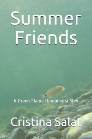 Cover of Summer Friends