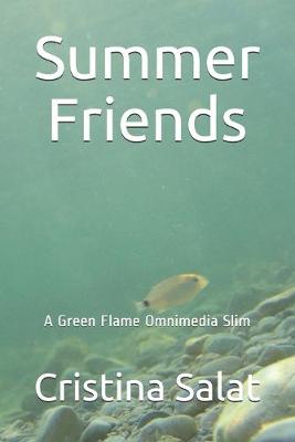 Cover of Summer Friends