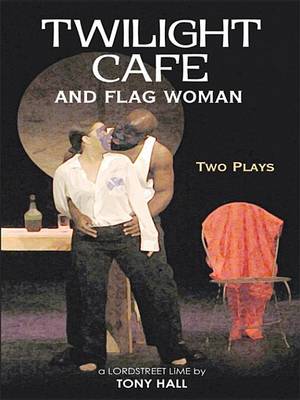 Book cover for Twilight Cafe and Flag Woman