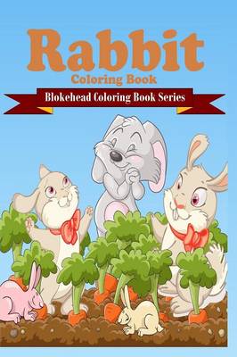 Book cover for Rabbit Coloring Book