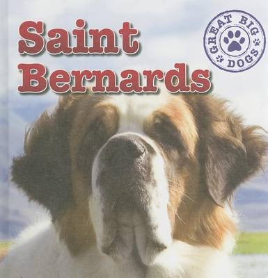 Book cover for Saint Bernards