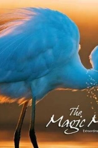 Cover of Magic Moment: Extraordinary Photographs of Nature