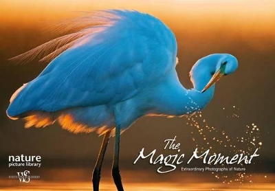 Book cover for Magic Moment: Extraordinary Photographs of Nature