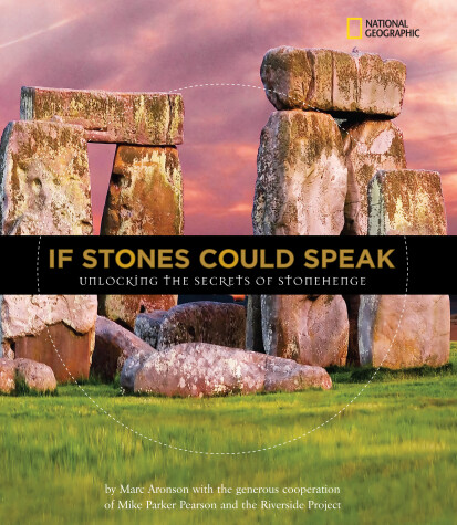 Book cover for If Stones Could Speak