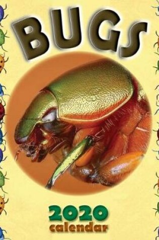 Cover of Bugs 2020 Calendar