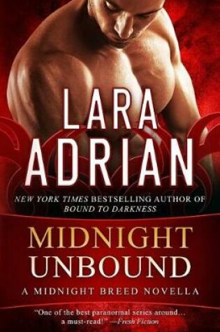 Cover of Midnight Unbound