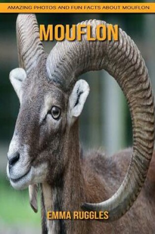 Cover of Mouflon