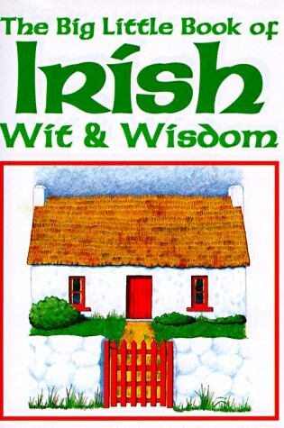 Cover of Big Little Book of Irish Wit and Wisdom