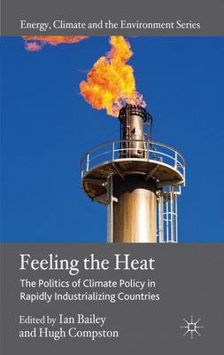 Cover of Feeling the Heat