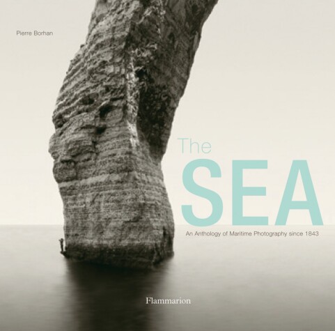 Book cover for The Sea