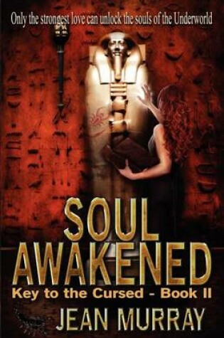Cover of Soul Awakened