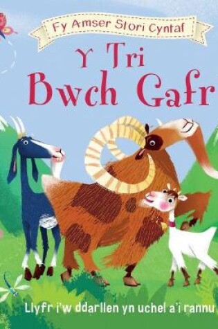 Cover of Cyfres fy Amser Stori Cyntaf: 4. Tri Bwch Gafr, Y