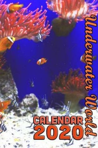 Cover of Underwater World Calendar 2020
