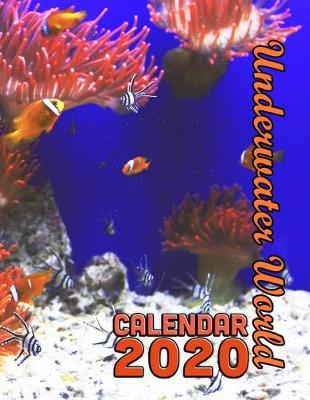 Book cover for Underwater World Calendar 2020