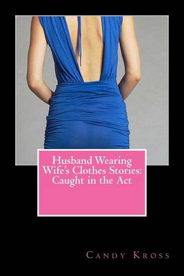 Book cover for Husband Wearing Wife's Clothes Stories