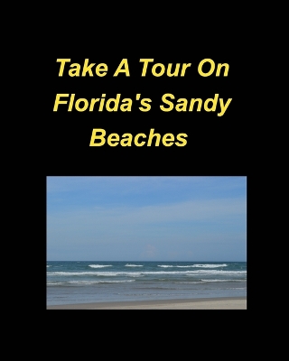 Book cover for Take A Tour On Florida's Sandy Beaches