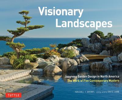 Book cover for Visionary Landscapes