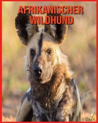 Book cover for Afrikanischer Wildhund