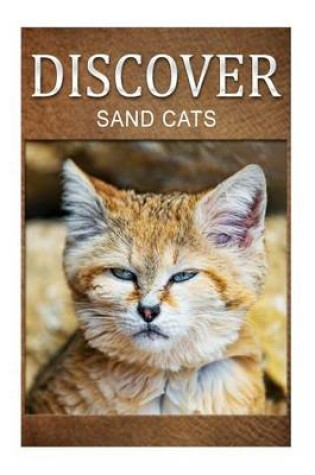 Cover of Sand Cats - Discover