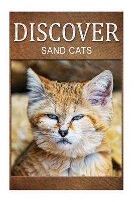 Book cover for Sand Cats - Discover