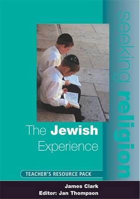 Book cover for The Jewish Experience