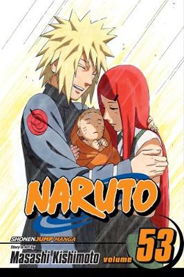 Book cover for Naruto, Vol. 53