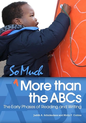 Book cover for So Much More than the ABCs