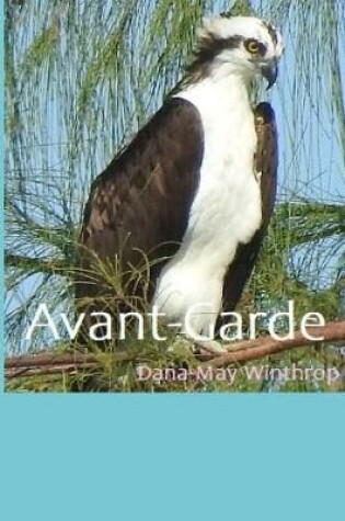 Cover of Avant-Garde